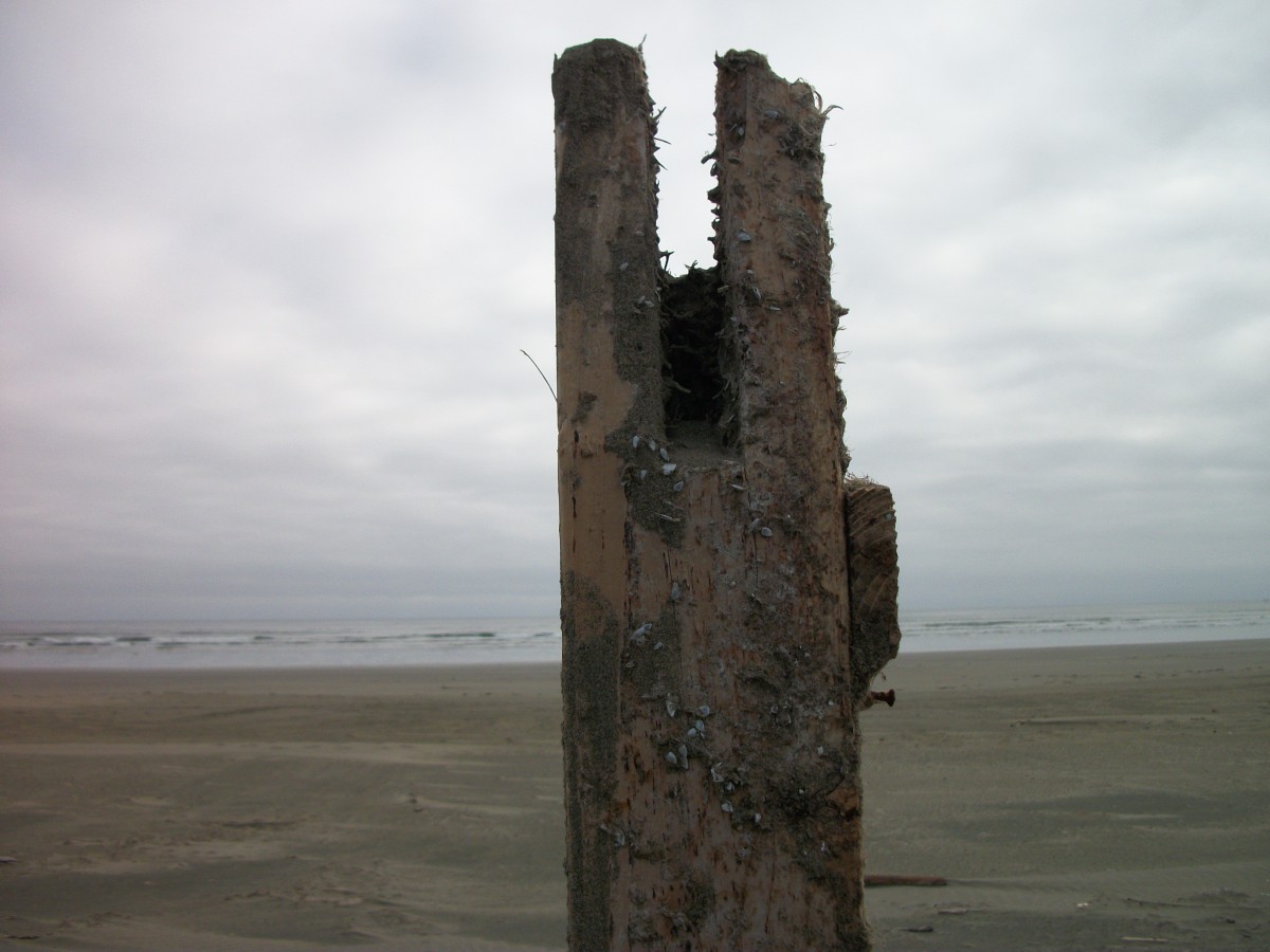 House Timber from Japanese Tsunami