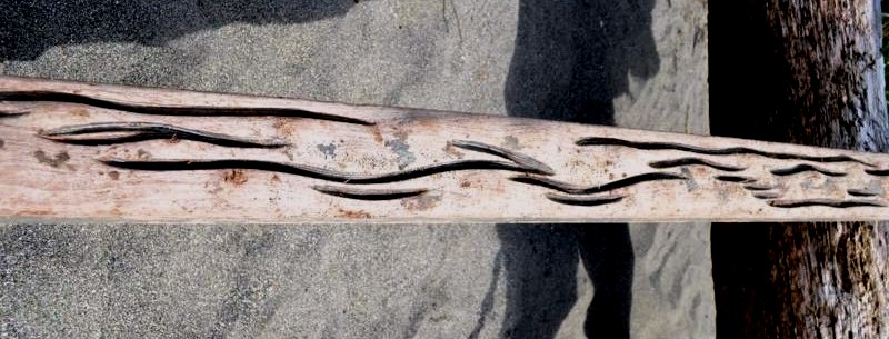 Tsunami timber with wave pattern carving 