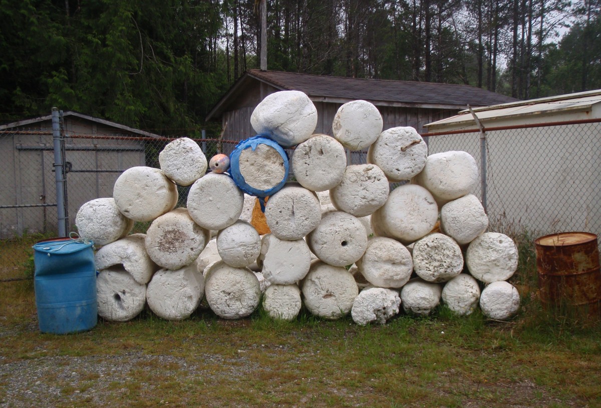 Styrofoam cylinders from the Japanese Tsunami